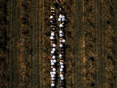 Whispering Pines Forest Retreat