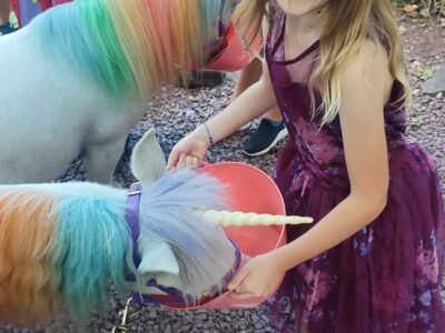 Pennsylvania Ren fair